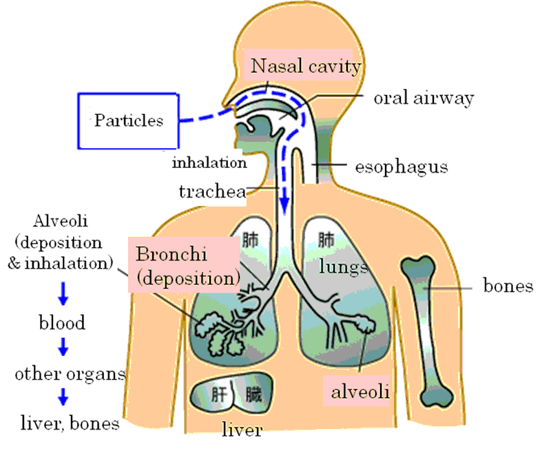 granite radiation particle inhalation