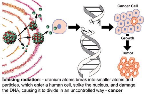 uranium radon cancer causing radiation